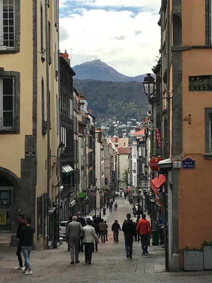 クレルモン・フェランNid Douillet Sur Plateau Centralアパートメント エクステリア 写真